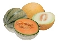 Galia melon and cantaloupe melon