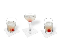 Different Gin Sour decorations
