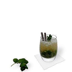Serve Mojito in tumbler or long-drink glasses with black straws.