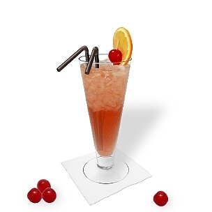All kind of long-drink glasses are ideal for Singapore Sling.