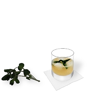 Whiskey Sour served in a whiskey glass with peppermint decoration, the most common way of presenting that delicious sour.